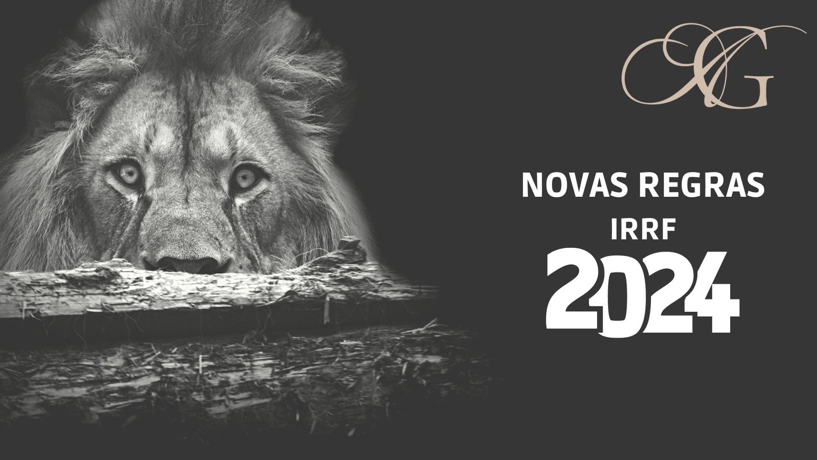 Consultoria Contábil BPO Financeiro