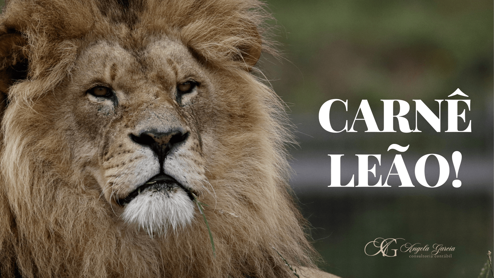 Consultoria Contábil BPO Financeiro